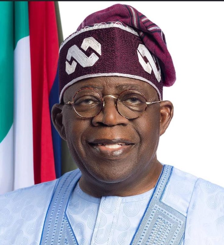 Appointments Fiasco: ADC Questions Presidential Authority, Urges National Assembly to Determine Tinubu's Fitness for Office
