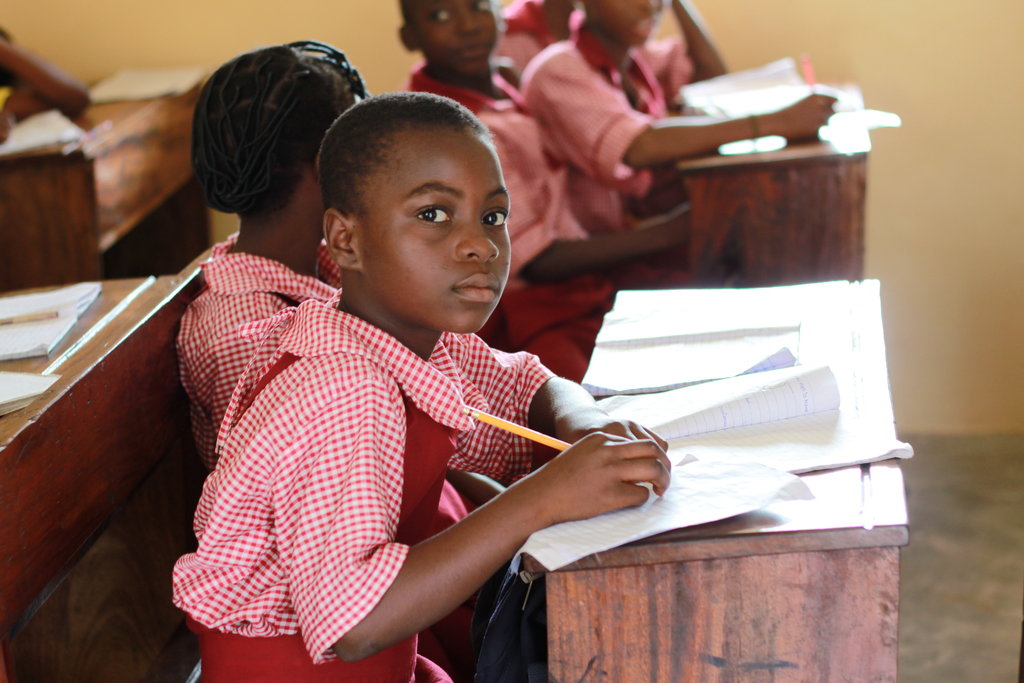 Adopt-a-School Initiative (Primary)